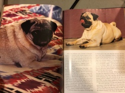 For the Love of PUGS Easton Press 